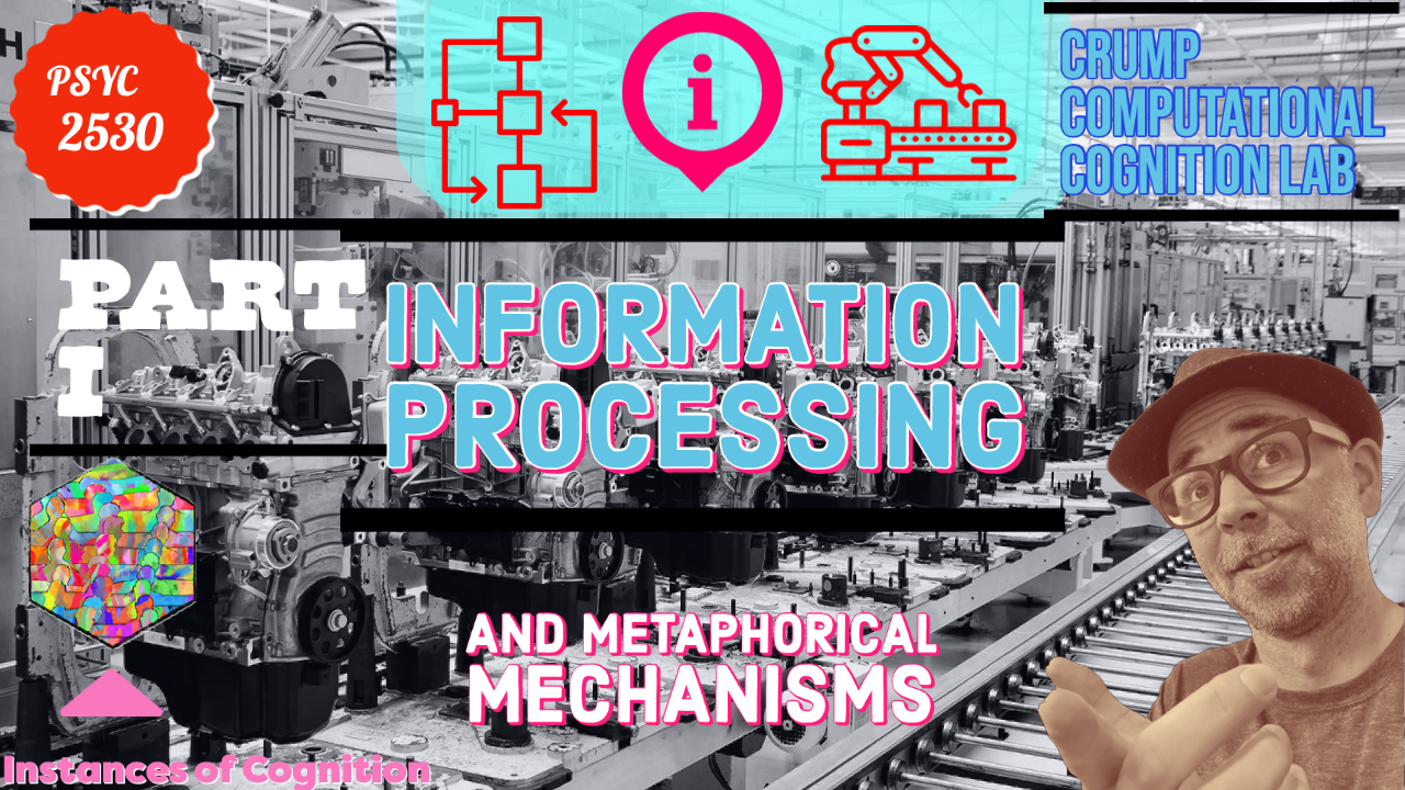 cognition - L6: Information Processing