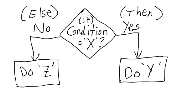 Logic statements evaluate the current situation (IF current situation is X) and then allow the computer to proceed along different paths (THEN do one or another thing).