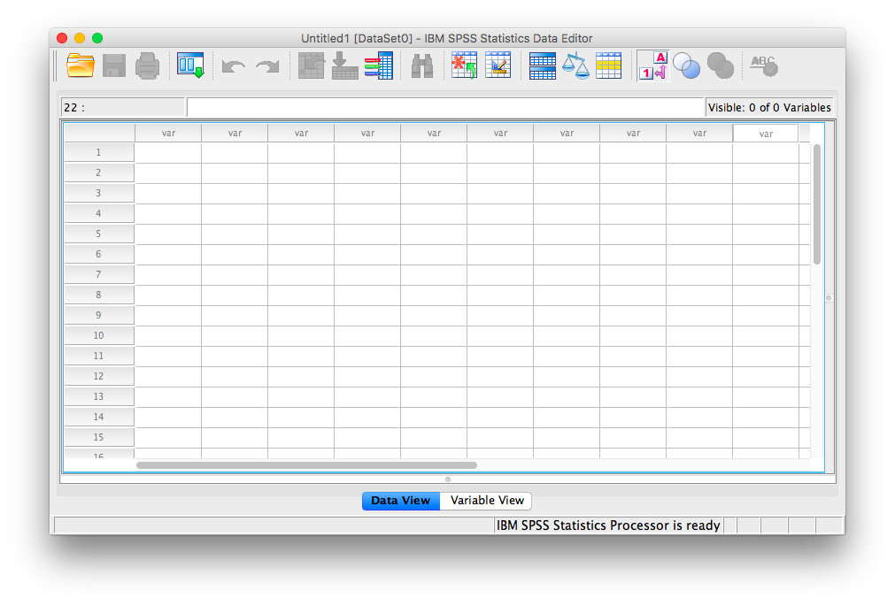 Empty SPSS spreadsheet